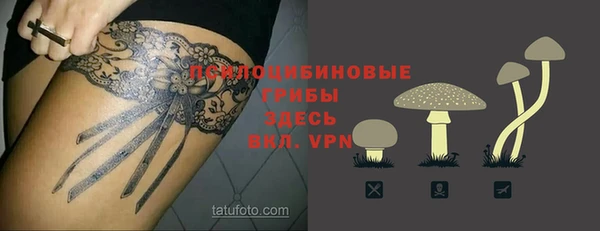 прущие крисы Михайловск