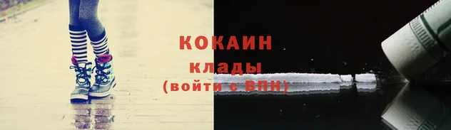 кокс Михайлов