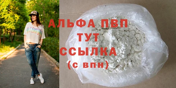 стаф Аша